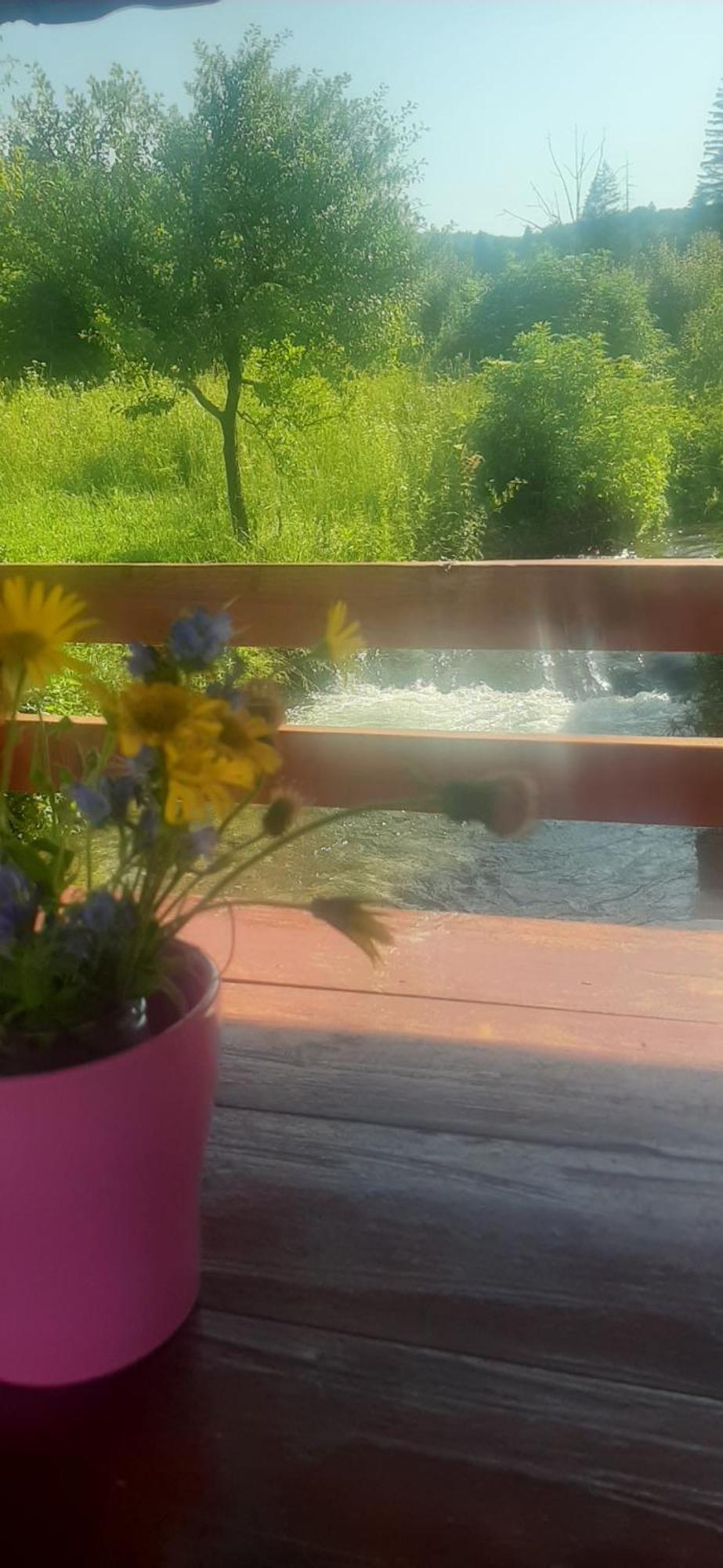 Guest House Mila Plitvicki Ljeskovac Zewnętrze zdjęcie